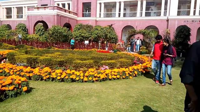 FLOWER SHOW AT IIT(ISM) DHANABD...JAN28 2017. смотреть онлайн