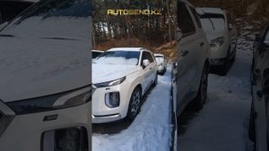 Близняшки Hyundai Palisade 3.8 бензин 4WD