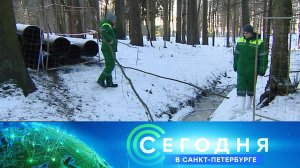 «Сегодня в Санкт-Петербурге»: 28 февраля 2024 года