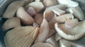 Грибы синии ножки на зиму вкуснейший рецепт