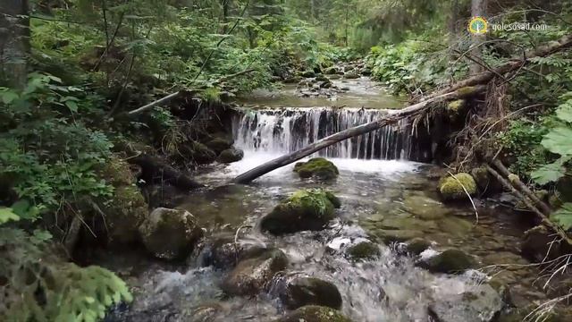 Удерживание воды в горной местности!
