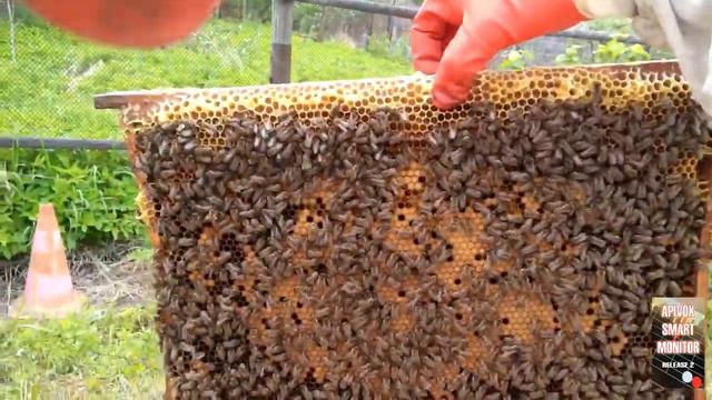 Film 80 rus Swarming Control May 2019 смотреть онлайн