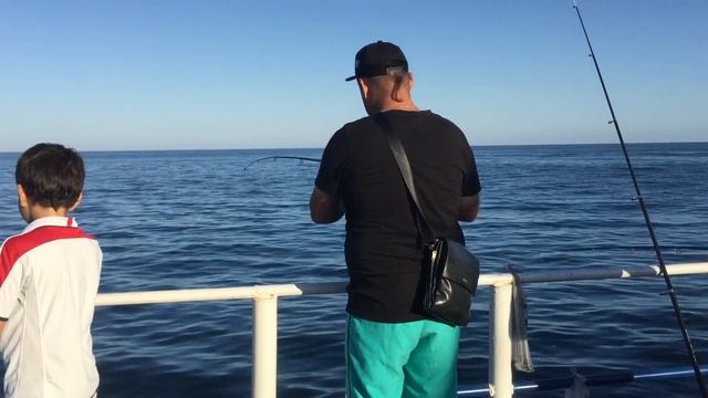 Рыбалка в Абхазии на море, в реках и озерах.Какая рыбалка есть в Абхазии г.Пицунда видео с рыбалок