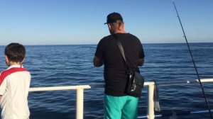 Рыбалка в Абхазии на море, в реках и озерах.Какая рыбалка есть в Абхазии г.Пицунда видео с рыбалок