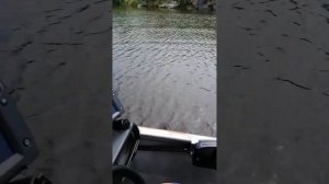 Haswing Caiman GPS 55lbs электромотор с функцией якоря