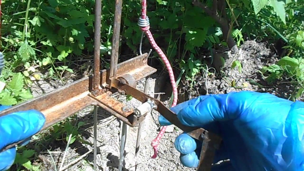 Как поймать крота . Самый эффективный способ . Кротоловка .