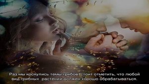 Как готовить сыроежки