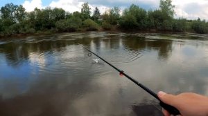 Ловля ЖЕРЕХА на спиннинг, польский воблер / Трофейный ГОЛАВЛЬ на спиннинг весной, секреты ловли!
