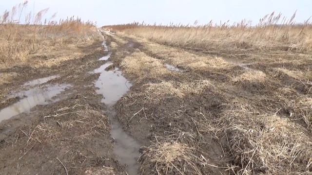 Ручьи. Снег уходит... смотреть онлайн