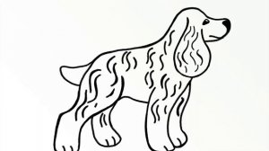 Как нарисовать Собаку (Кокер-Спаниель)/How to draw a Dog (Cocker Spaniel)