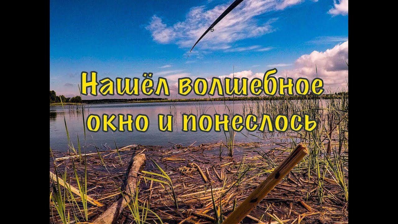 Бешеный клёв КАРАСЯ|Нашёл волшебное ОКНО в камышах,прикормил и ПОНЕСЛОСЬ|КАРАСЬ НА ПОПЛАВОК. смотреть онлайн