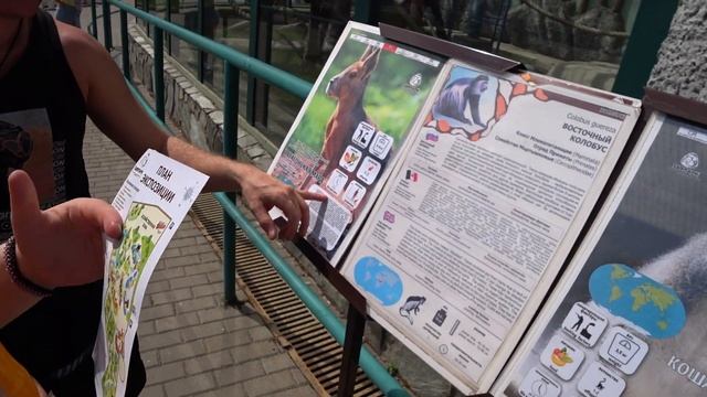 ЗООПАРК.ИЖЕВСК #4 ЖУРАВЛИ ЯПОНСКИЕ.ДАУРСКИЕ.СУЛТАНКИ.ПРУД УТКИ.ГУСИ.ЛЕБЕДИ.КОНЮШНЯ.ЗЕБУ.КЕНГУРУ смотреть онлайн