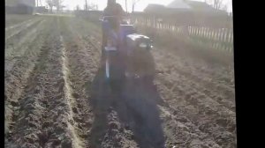 Посадка картошки самодельной сажалкой.