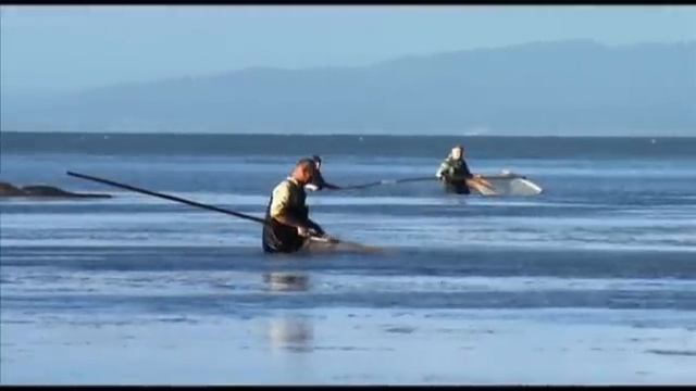 Сахалин. Жизнь на острове. Нина Бакланова смотреть онлайн