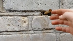 реставрация кирпичного сарая часть №1 !restavracia brick barn part # 1