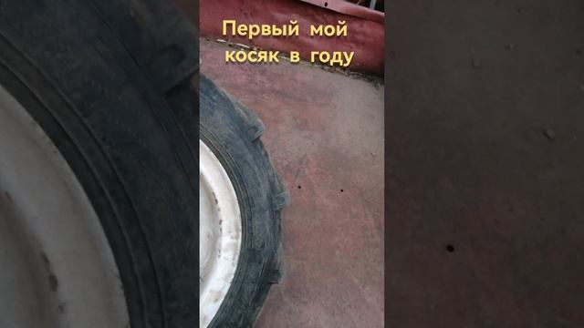 Первый мой косяк, начало сезона. Мотоблок НЕВА.