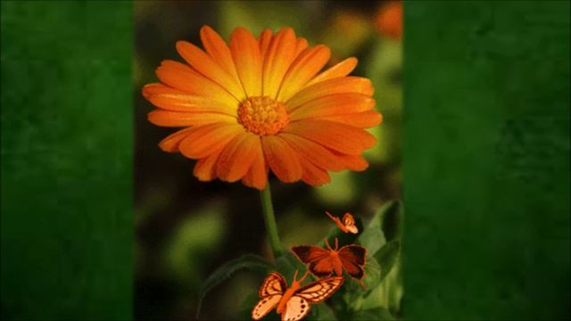 Почему так называется смотреть онлайн