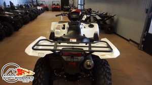 2020 Suzuki King Quad 750AXi Power Steering SE At Maxey's Motorsports