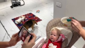 НИКА ПЕРВЫЙ РАЗ В ЖИЗНИ ПРОБУЕТ КАШУ. ДЕНЬ РОЖДЕНИЯ АНИ МАСИКИ. НИКА ЛАЙФ