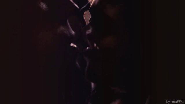 Stefan/Elena - Don't go, just stay смотреть онлайн