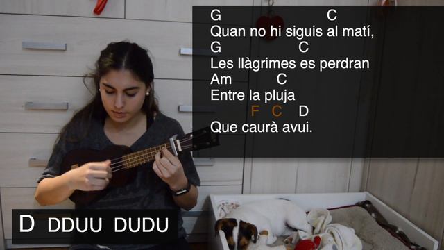 Boig Per Tu (Sau) - Ukelele Play Along смотреть онлайн