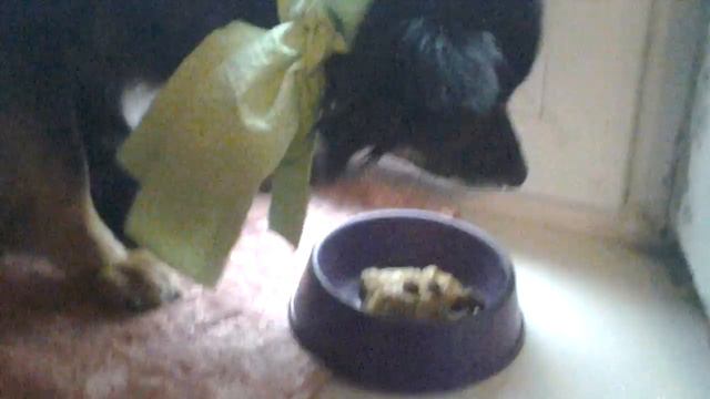 Поздравление моей Бэлочке - ей сегодня 15 лет. смотреть онлайн