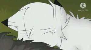 коты воители/ клип мама