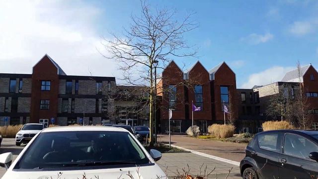 bertilla với đoạn đường dài bertilla with long distance смотреть онлайн