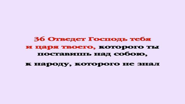 Видеобиблия. Второзаконие. Глава 28 смотреть онлайн