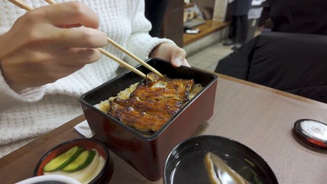 【これが王道】初詣と絶品うな重の旅 | 一人旅 | 千葉 成田🇯🇵 смотреть онлайн