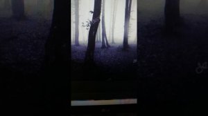 мрачная пугающая жуткая страшная музыка тёмный лес