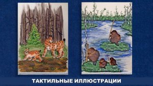 Знакомьтесь, тактильная книга. Выпуск 5: Е. И. Чарушин Е. И. "Большие и маленькие"