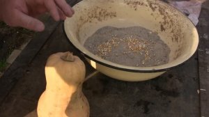 осенняя мешанка для кур несушек