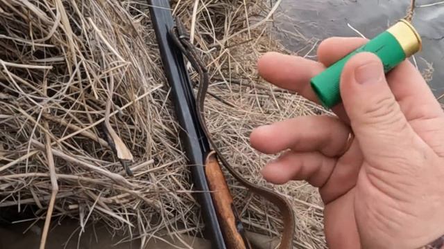 Выбор патрона на иж 58 охота на утку 16 калибра смотреть онлайн