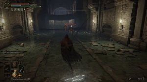 ELDEN RING. Могила героя святого