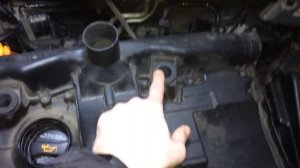 Что находится под капотом Volkswagen Polo 9N3 BBY 2003 1,4 16 valve