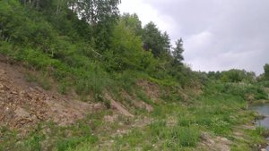 Змеиногорск