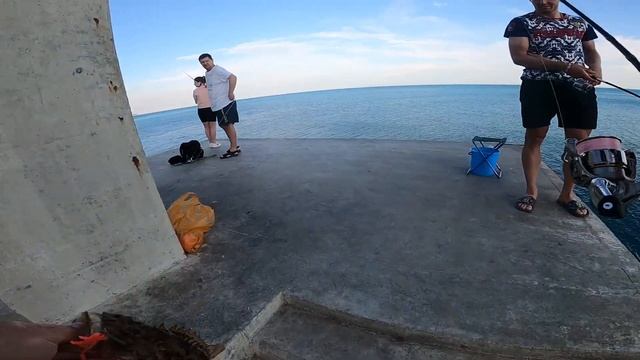 Жена поймала СКОРПЕНУ МОНСТРА)! Рыбалка в Форосе. Черное море смотреть онлайн