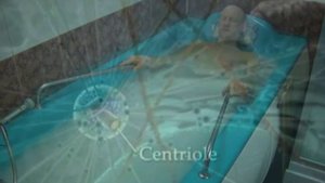 Залмановские ванны