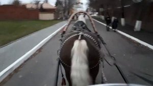 катаемся на ЛОШАДКЕ в повозке.
