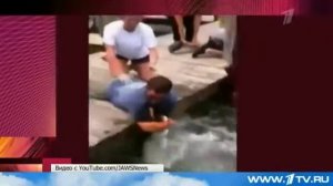 Сунул грека руку в реку рак за руку грека цап