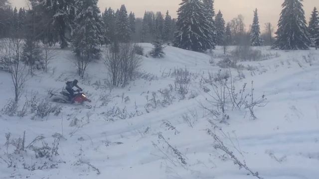 Катка в логах от Сани смотреть онлайн