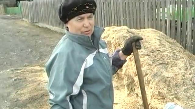 Когда деревья становятся пнями. Опрос смотреть онлайн