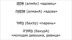 Урок № 16  Род одушевлённых существительных