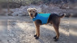 Wanna Go Kayak at Saguaro Lake? 12 Mile Flatwater Paddle 11-27-21