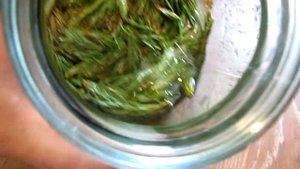 Сосновый сироп,как приготовить/Pine syrup how to cook