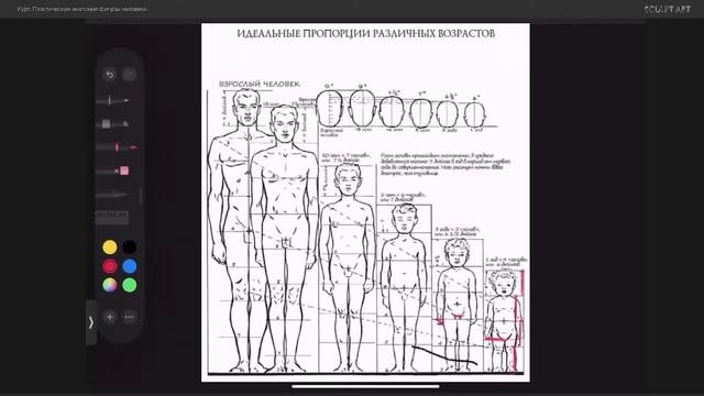 Детская фигура: пропорции, пластика, взросление. С Софьей Григорьевой.