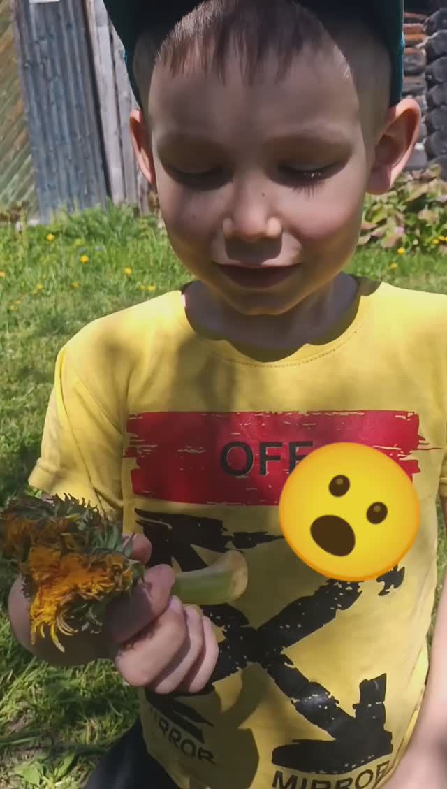 Одуванчик мутант