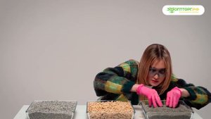 Обучение наполнители Qushy