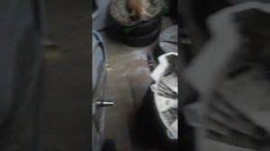 Стиральная машина Аристон распил бака.